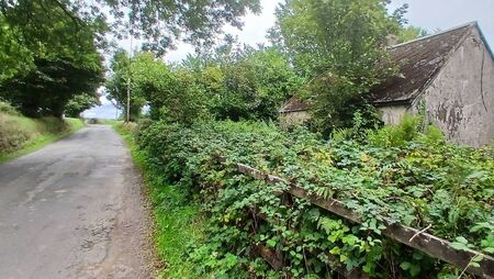 Housing the Déise: Hiding in plain sight - derelict sites left to rot 