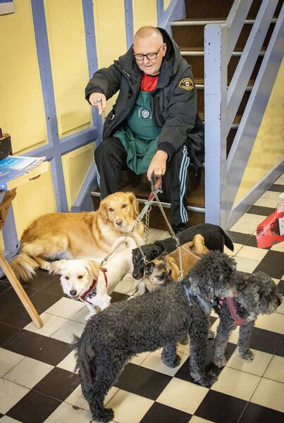 Kevin Murphy, providing some customer service, by doing a little bit of dog sitting at St. Olaf's Hall, where Waterford Country Market celebrated its 70th birthday. Photo: Joe Evans Kevin Murphy, providing some customer service, by doing a little bit of dog sitting at St. Olaf's Hall, where Waterford Country Market celebrated its 70th birthday. Photo: Joe Evans