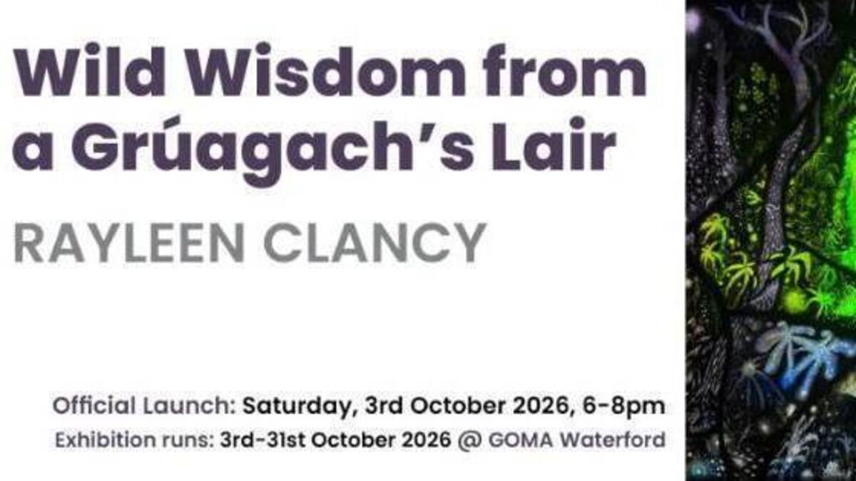 Waterford artist brings Irish Folklore to life in new GOMA exhibition