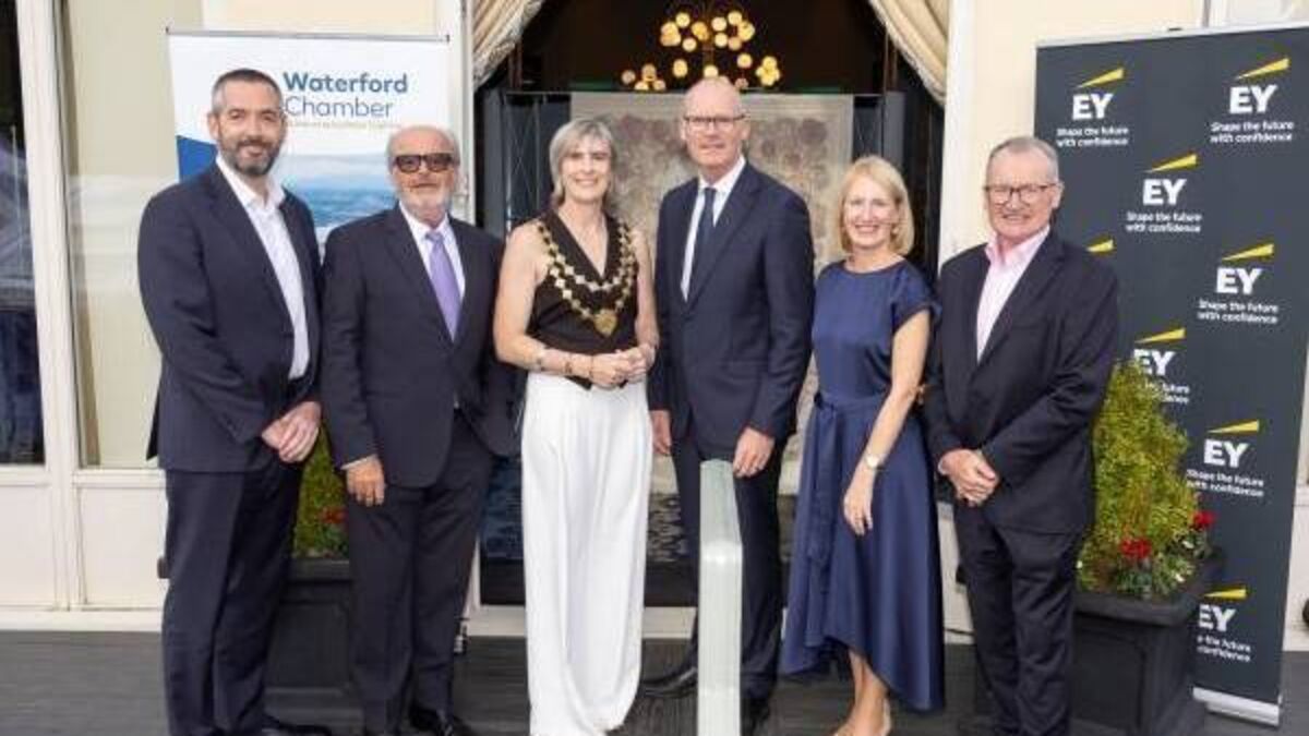 Waterford launches ambitious billion Euro regional strategy vision