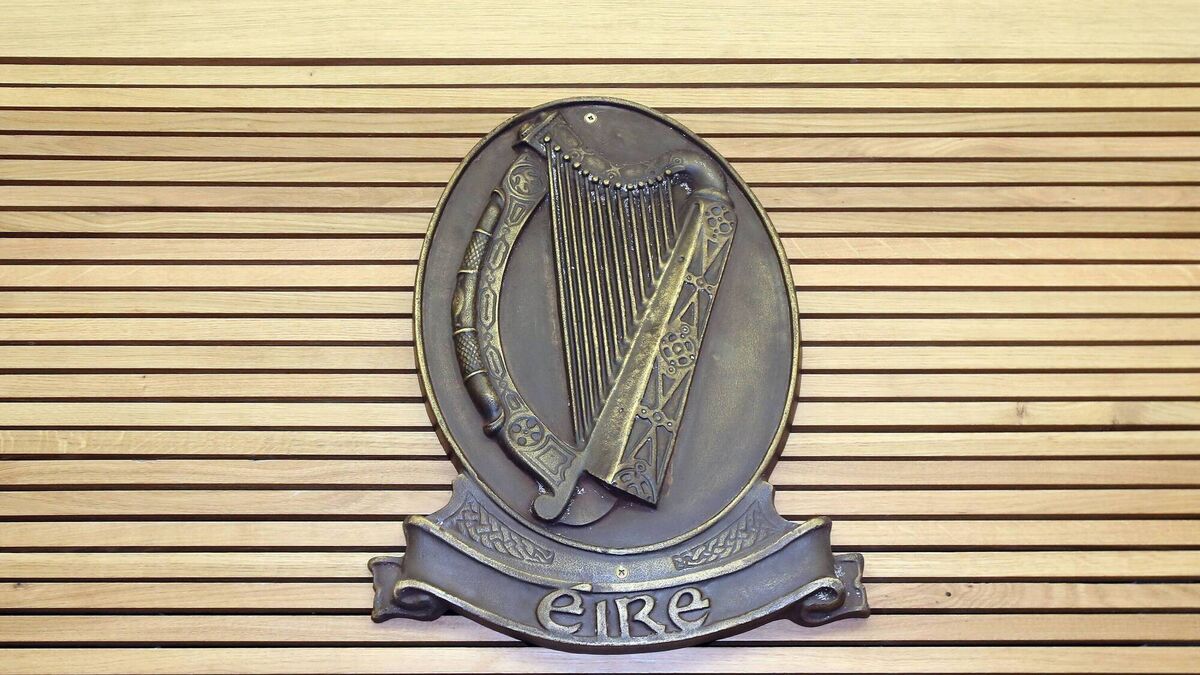 Suspect forcefully swallowed drugs during Waterford garda search