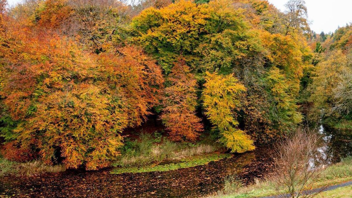 Green Fingers: The search for a red October
