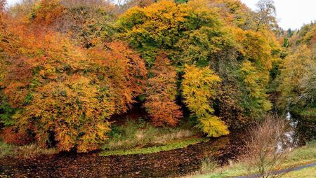 Green Fingers: The search for a red October