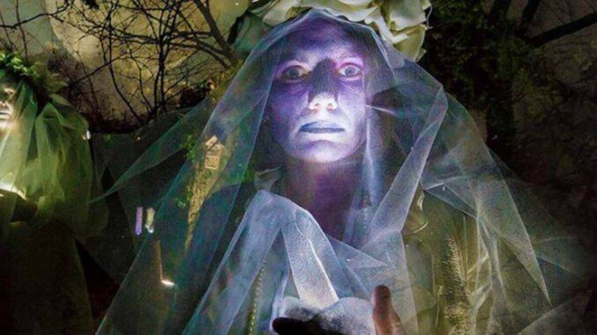 Waterford set for a spooktacular Halloween with packed programme of events