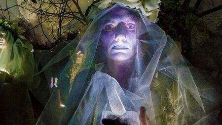 Waterford set for a spooktacular Halloween with packed programme of events
