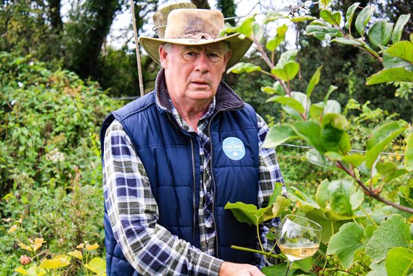 David Dennison at his organic vineyard in East Waterford. Photo: Sarah Dennison David Dennison at his organic vineyard in East Waterford. Photo: Sarah Dennison