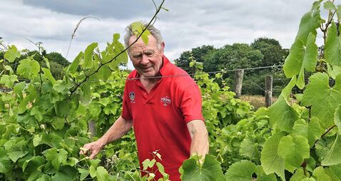 The Waterford vineyard pioneering organic Irish wine 
