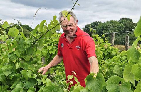 The Waterford vineyard pioneering organic Irish wine
