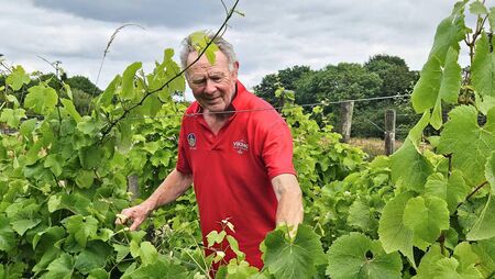 The Waterford vineyard pioneering organic Irish wine 