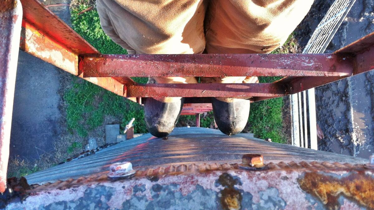 HSA launches farm safety campaign as 21 farmers die in falls over past decade