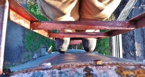 HSA launches farm safety campaign as 21 farmers die in falls over past decade