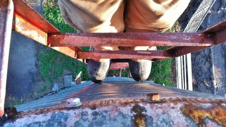 HSA launches farm safety campaign as 21 farmers die in falls over past decade