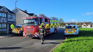 <p>An Garda Siochána are appealing for information from anyone who may have been in the vicinity of Birch Avenue, Birchwood, Waterford City in the early hours of Tuesday, October 13</p> <p>An Garda Siochána are appealing for information from anyone who may have been in the vicinity of Birch Avenue, Birchwood, Waterford City in the early hours of Tuesday, October 13</p>