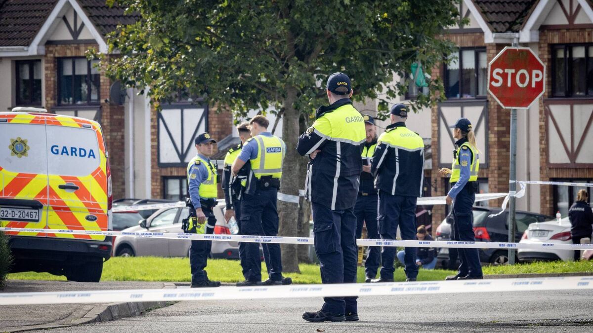 Gardaí release video footage of the crime scene at Birchwood