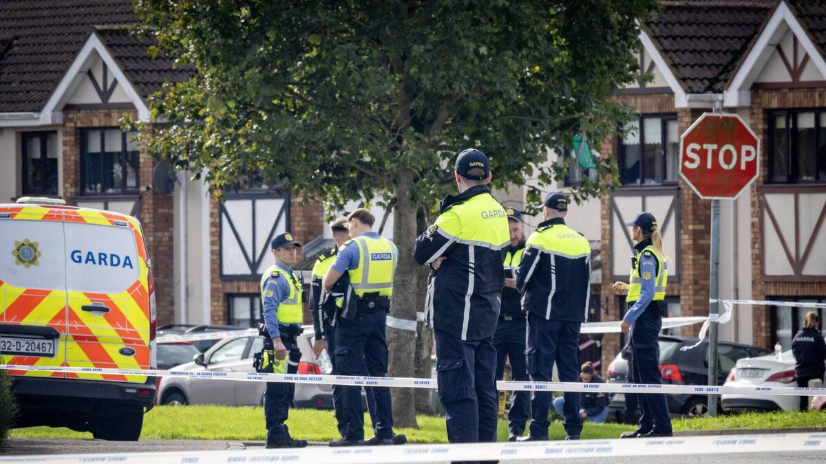 Drug-intimidation behind murder of Waterford family, son says