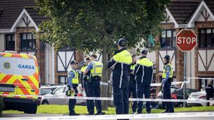 <p>The scene at Birchwood Estate. Photo: Joe Evans</p>