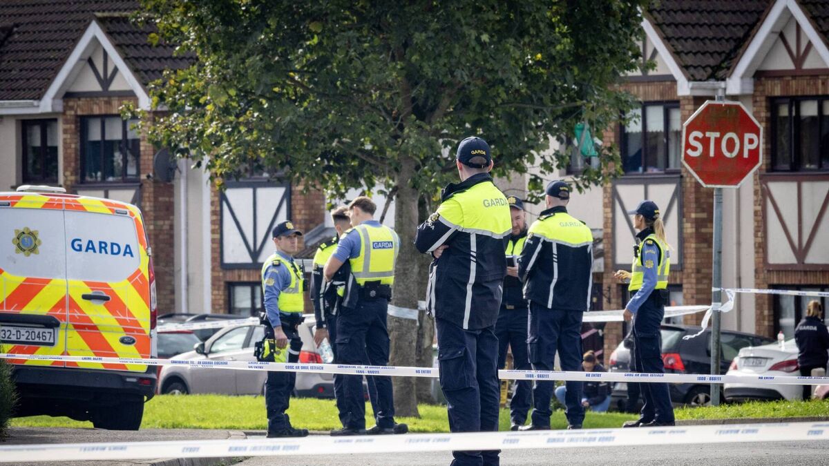 BREAKING NEWS: Two arrested in connection with Birchwood murders as Garda investigation continues