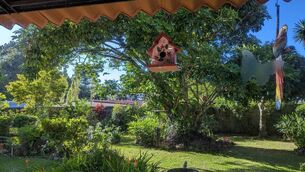 <p>I have planned the position of the bird table to be viewed from the kitchen and dining area.</p> <p>I have planned the position of the bird table to be viewed from the kitchen and dining area.</p>