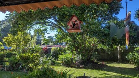 Green Fingers: Up front on a few gardening themes