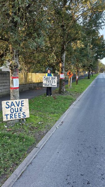 Residents are campaigning to save mature trees in the Larchville/Lisduggan area. Residents are campaigning to save mature trees in the Larchville/Lisduggan area.