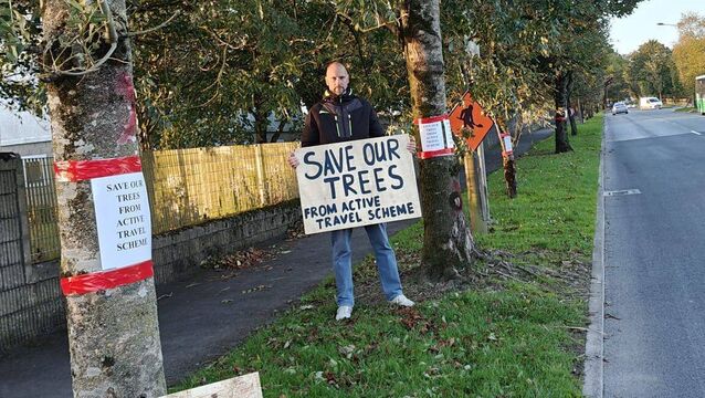 Letter to the Editor: Waterford residents take to the streets to save mature trees from travel scheme 
