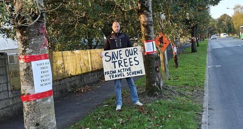 Letter to the Editor: Waterford residents take to the streets to save mature trees from travel scheme 