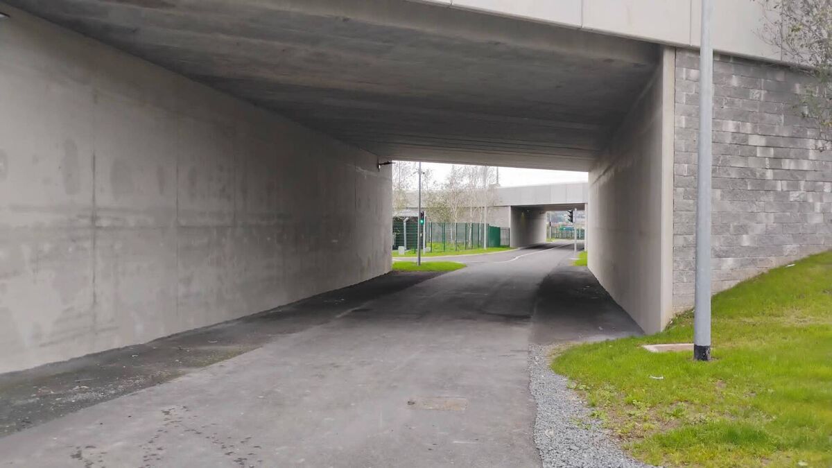 Eastern Green 'Lovely addition' to South East Greenway - News - Waterford News & Star