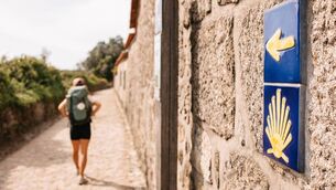 <p>We discovered that the Camino trek is less about the geographical destination (Cathedral Square in Santiago); it is more about a journey inward, a spiritual journey.</p>