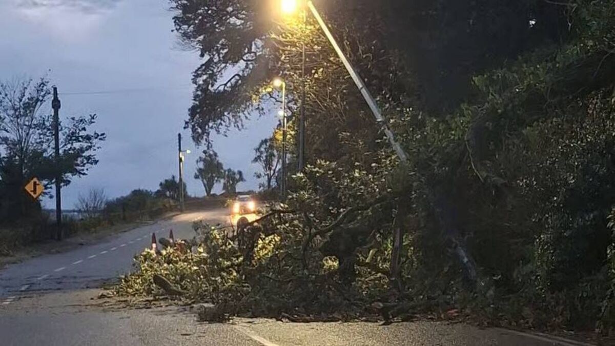 Storm Austen leaves trail of damage across Waterford