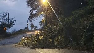 <p>Streetlights and electrical wires damaged on High Road in Dunmore East amid Storm Austen. Photo: WCCC</p>