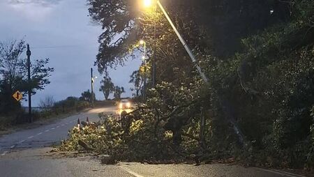 Storm Austen leaves trail of damage across Waterford