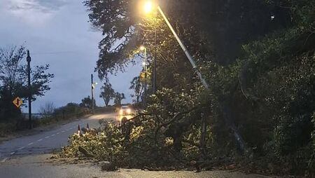 Storm Austen leaves trail of damage across Waterford