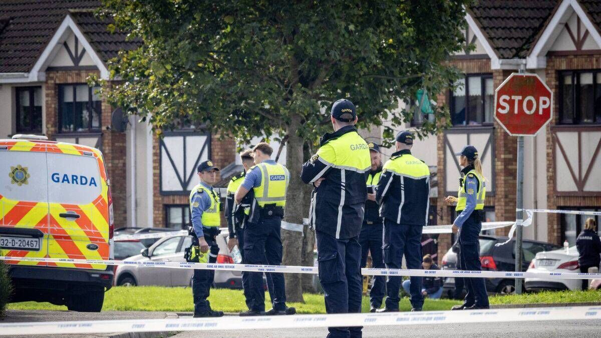 Three people arrested in connection with Birchwood attack are released without charge