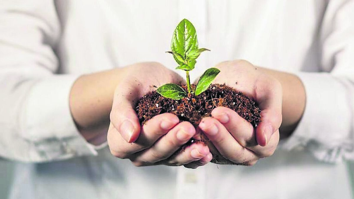 Catherine Drea: Hope begins at the grassroots
