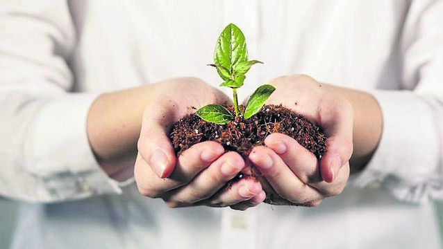 Catherine Drea: Hope begins at the grassroots