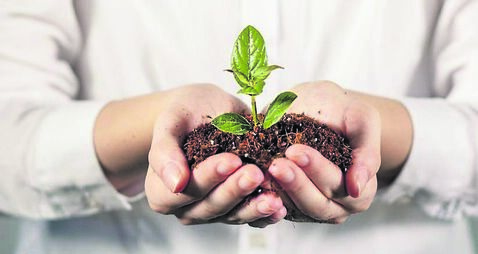 Catherine Drea: Hope begins at the grassroots