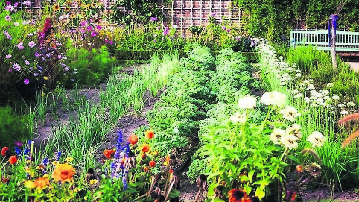 Green Fingers: Having the best of both worlds