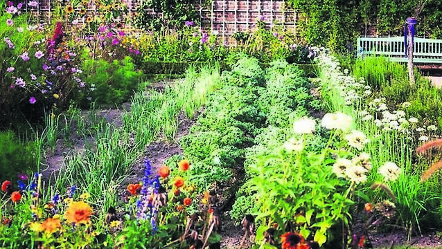 Green Fingers: Having the best of both worlds