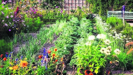 Green Fingers: Having the best of both worlds