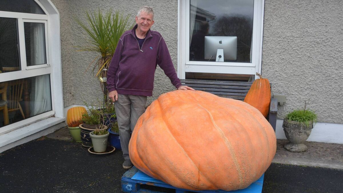 Ireland's largest pumpkin grown in Waterford